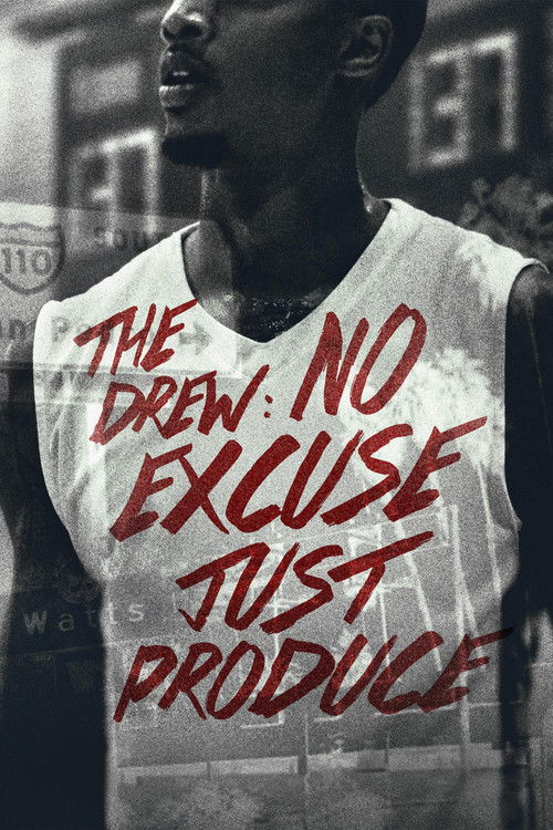 The Drew: No Excuse, Just Produce (2016) poster