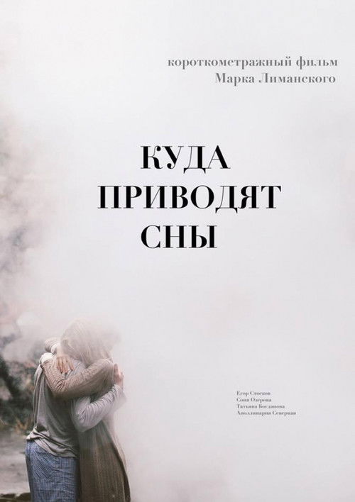 Куда приводят сны (2017) poster