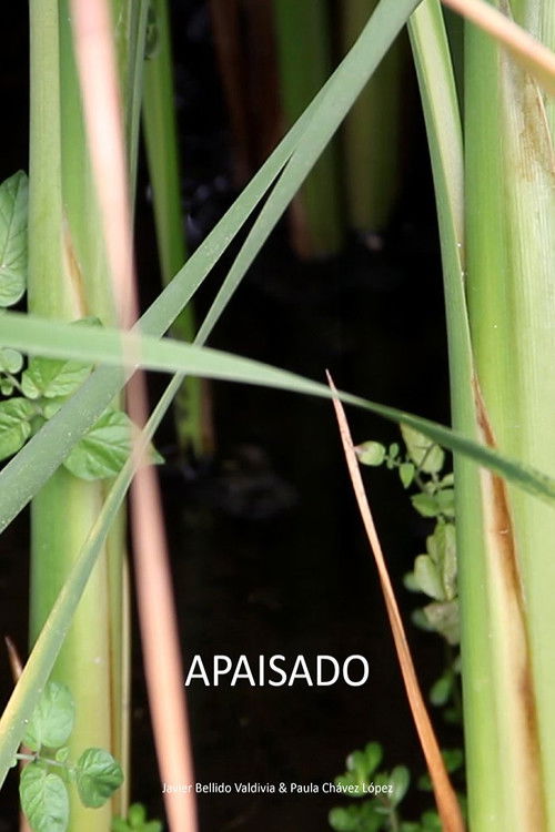 Apaisado (2020) poster