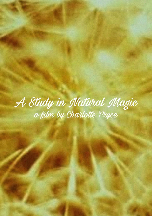 A Study in Natural Magic (2013) poster