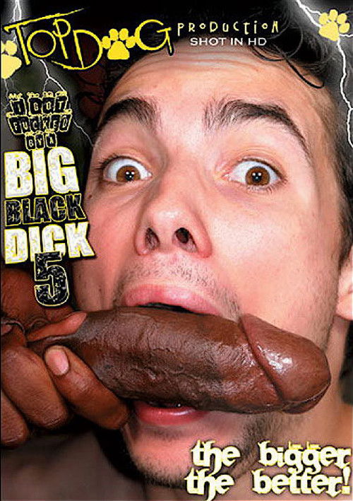 I Got Fucked by a Big Black Dick 5 (2009) poster