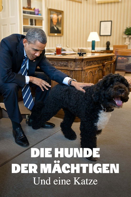 Die Hunde der Mächtigen - und eine Katze (2024) poster