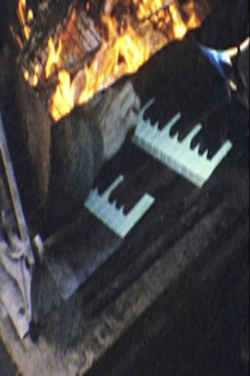 Film Diary #2 (No Nothing Cinema) (2024) poster