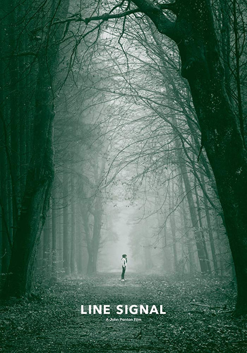 Line Signal (2015) poster