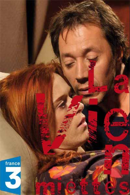 La Vie en miettes (2011) poster