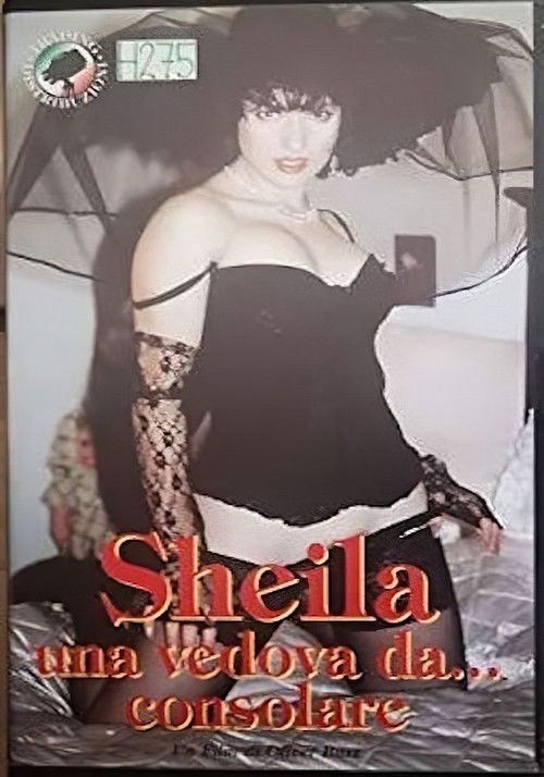 Una vedova da... consolare (1992) poster