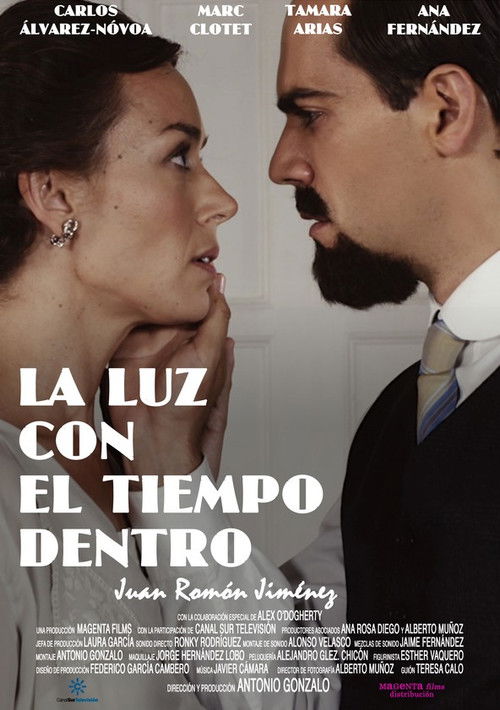 La luz con el tiempo dentro (2015) poster
