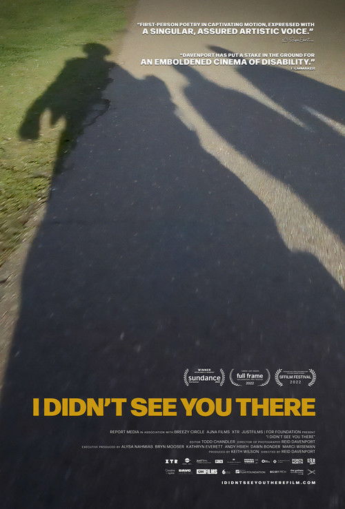 I Didn't See You There (2022) poster