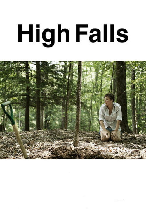 High Falls (2007) poster