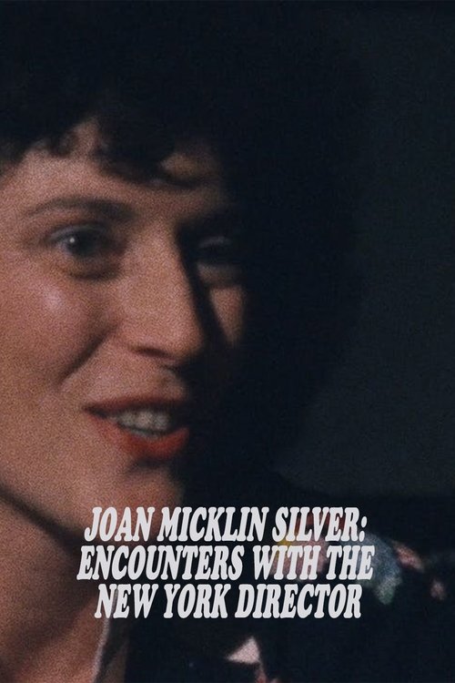 Joan Micklin Silver: Encounters with the New York Director (1983) poster