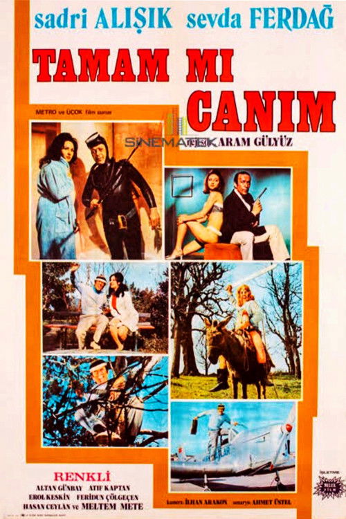Tamam mı Canım (1971) poster