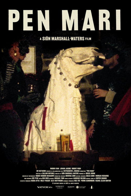 Pen Mari (2025) poster