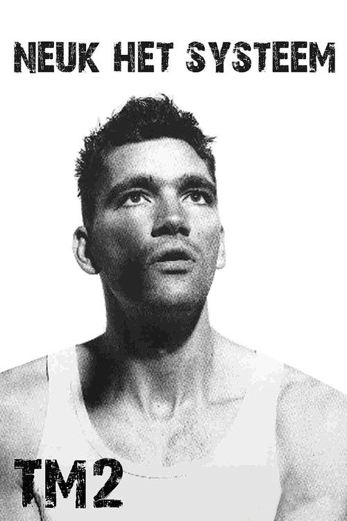 Theo Maassen: Neuk het Systeem (1995) poster