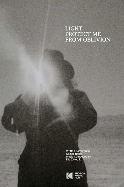 Light Protect Me From Oblivion (2024) poster