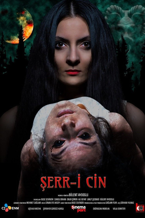 Şerr-i Cin (2022) poster
