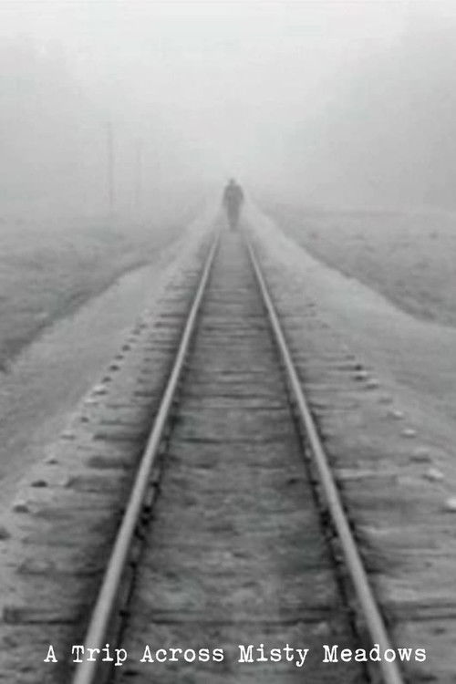 A Trip Across Misty Meadows (1973) poster
