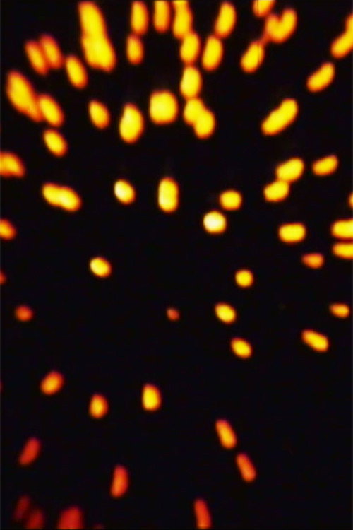 Celebrated Royal Fireworks (1973) poster