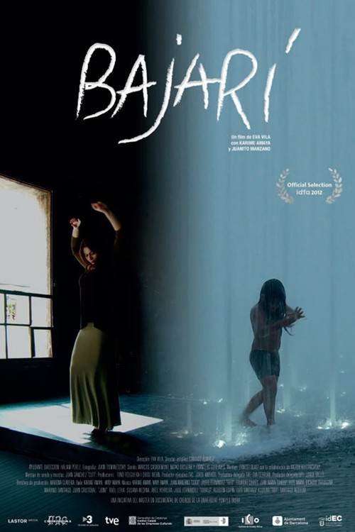 Bajarí (2013) poster
