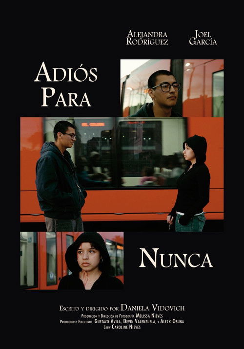 Adiós Para Nunca (2026) poster