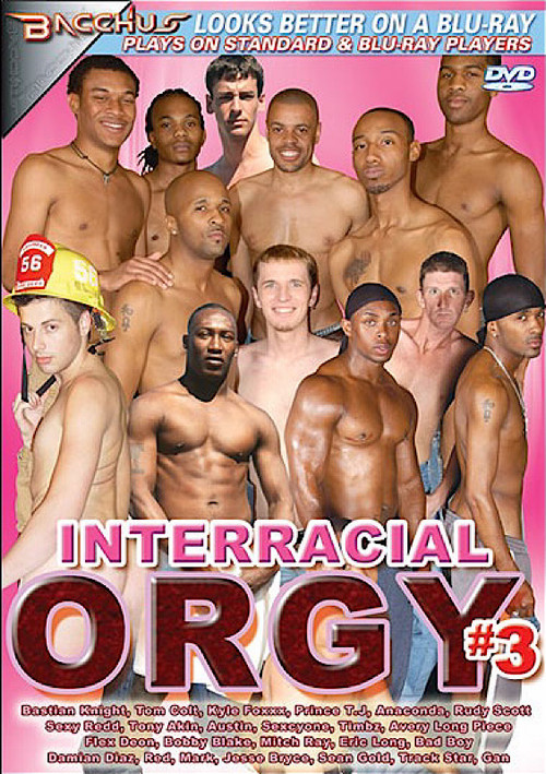 Interracial Orgy 3 (2009) poster