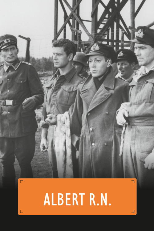Albert R.N. (1953) poster