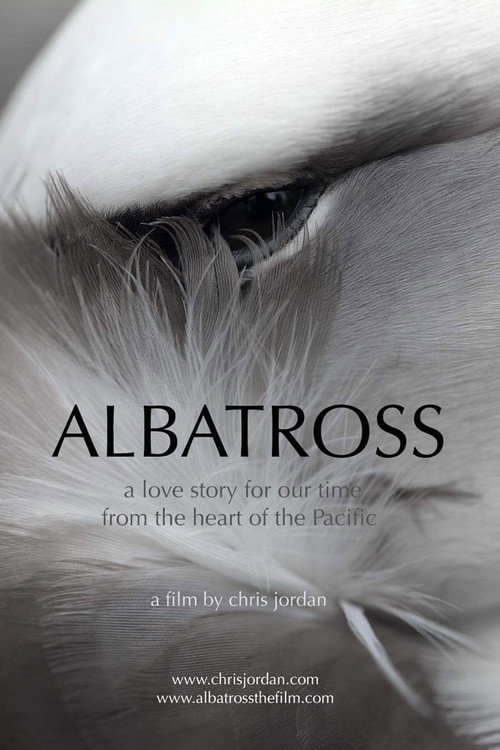Albatross (2013) poster