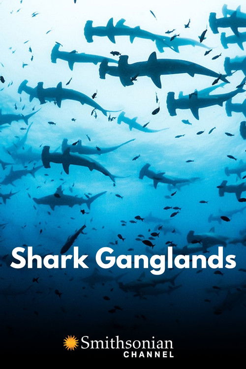 Shark Ganglands (2020) poster
