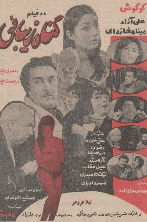 گناه زیبایی (1969) poster