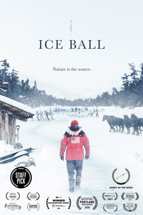Ice Ball (2020) poster