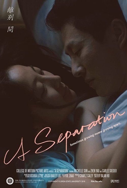 A Separation (2019) poster