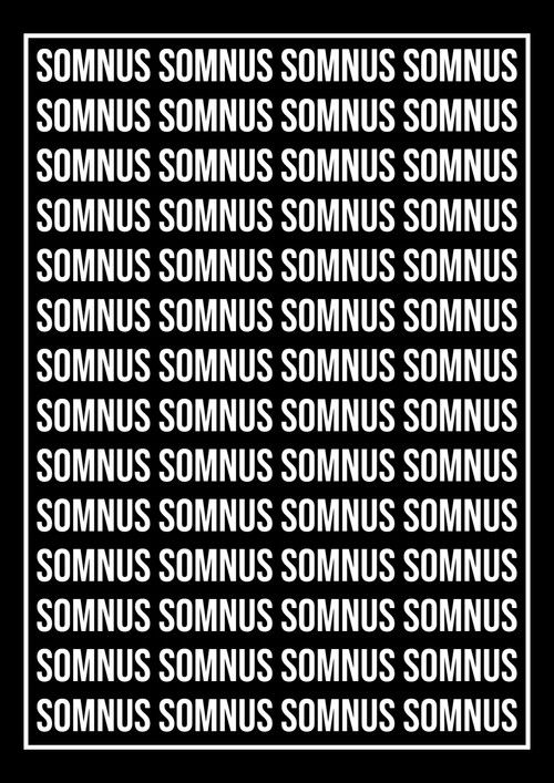 somnus (2024) poster