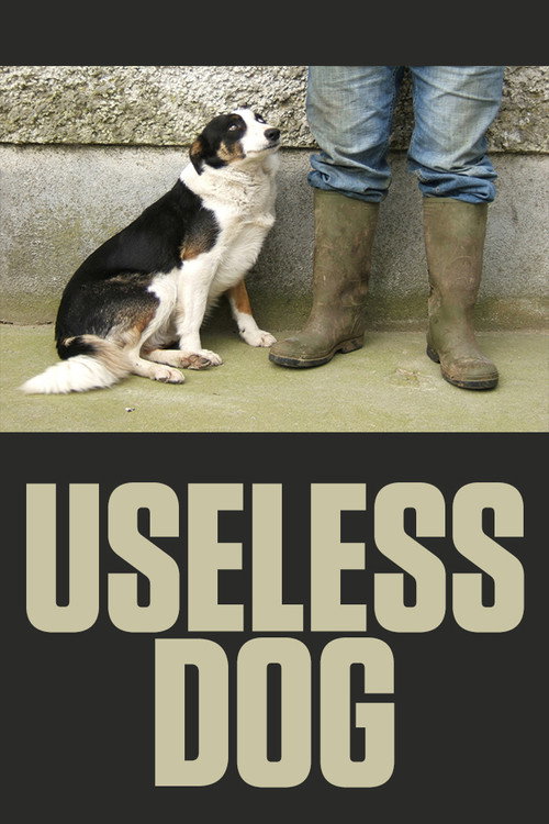 Useless Dog (2004) poster
