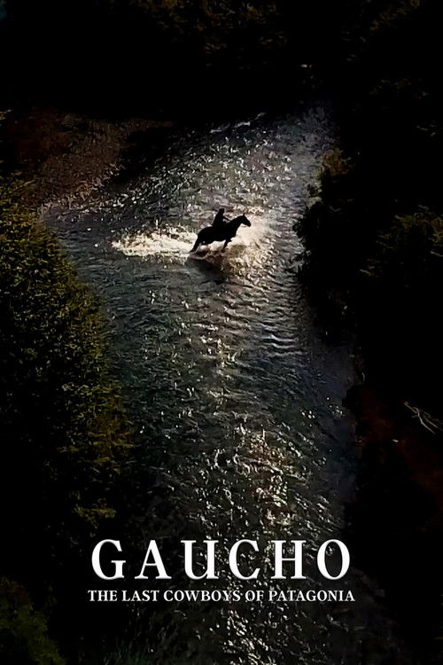 Gaucho: The Last Cowboys of Patagonia (2017) poster
