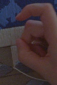 Our Lady Who Burns (2024) poster