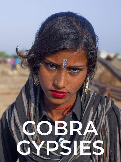 Cobra Gypsies (2015) poster