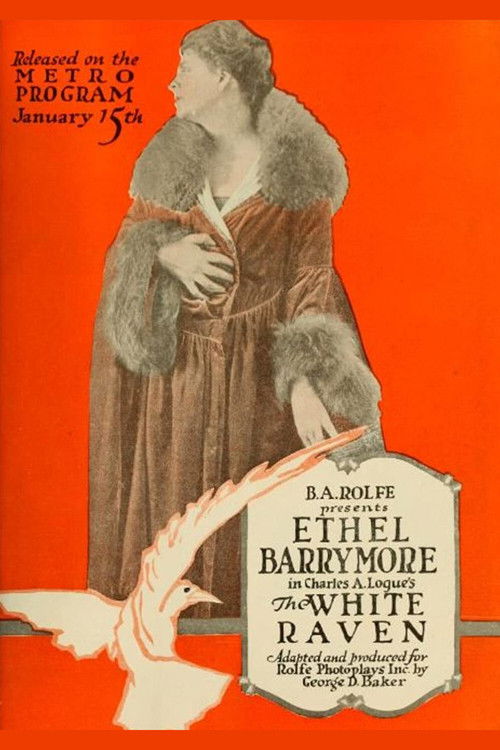 The White Raven (1917) poster