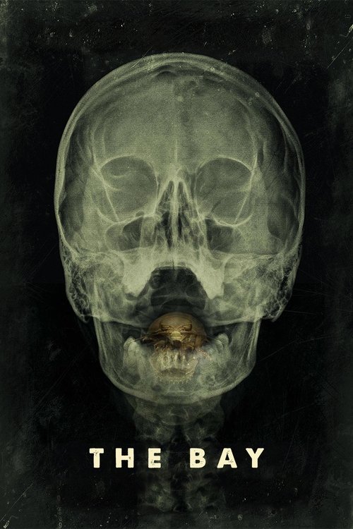 Körfezci (2012) poster