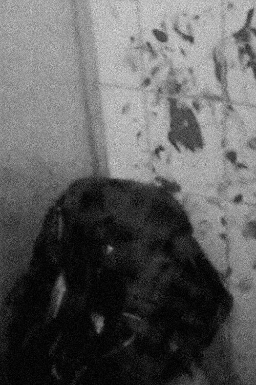 Last Confession (2021) poster