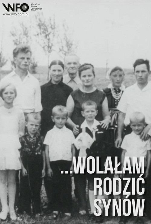 Wolałam rodzić synów (1985) poster