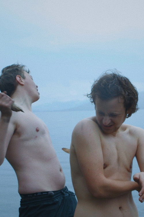 Silence and Swords (2020) poster