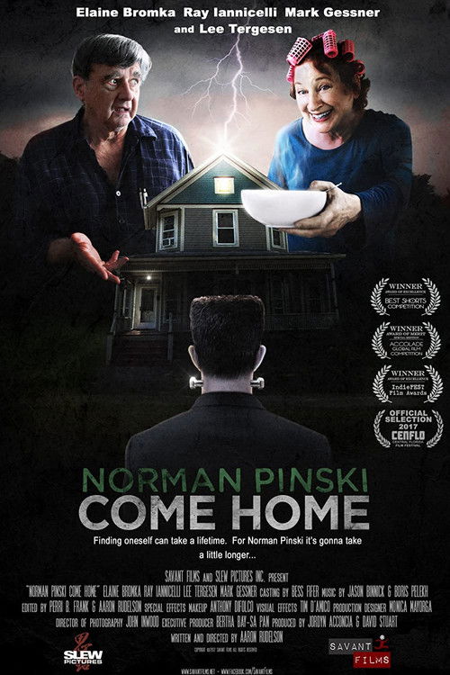 Norman Pinski Come Home (2017) poster
