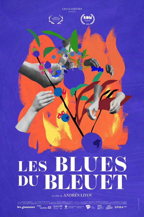 The Blueberry Blues (2026) poster