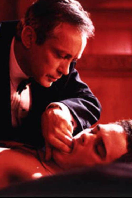 Paradise Framed (1995) poster