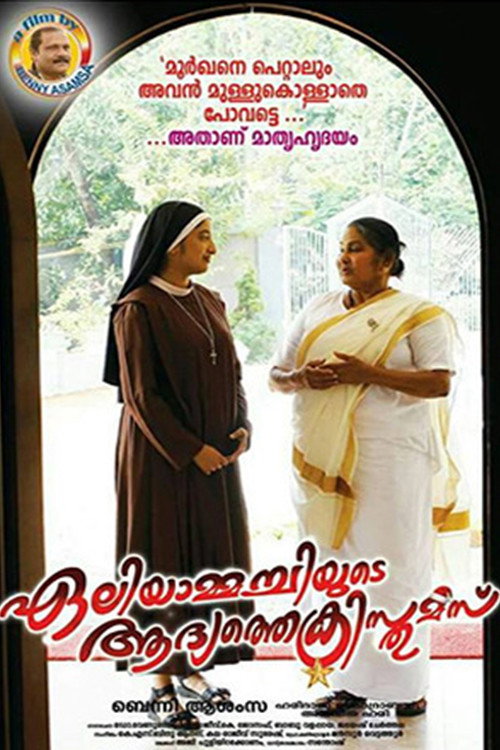 ഏലിയാമ്മച്ചിയുടെ ആദ്യത്തെ ക്രിസ്തുമസ് (2017) poster