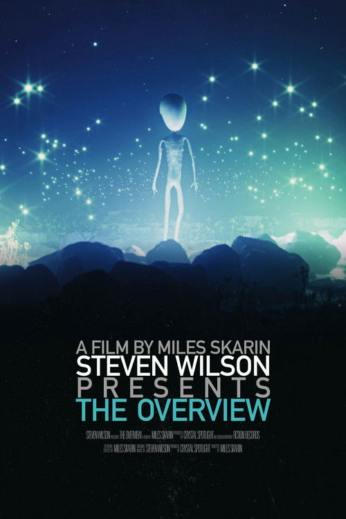 The Overview (2025) poster