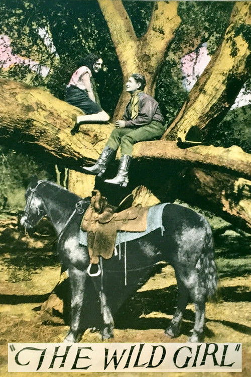 The Wild Girl (1925) poster