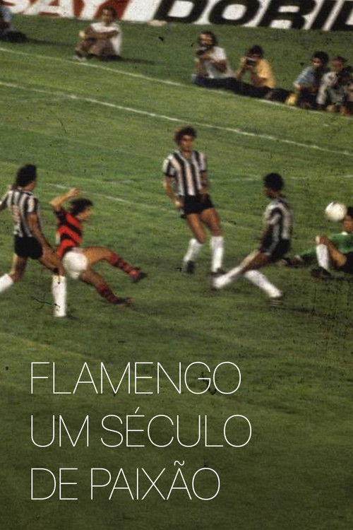 Flamengo: Um Século de Paixão (1995) poster