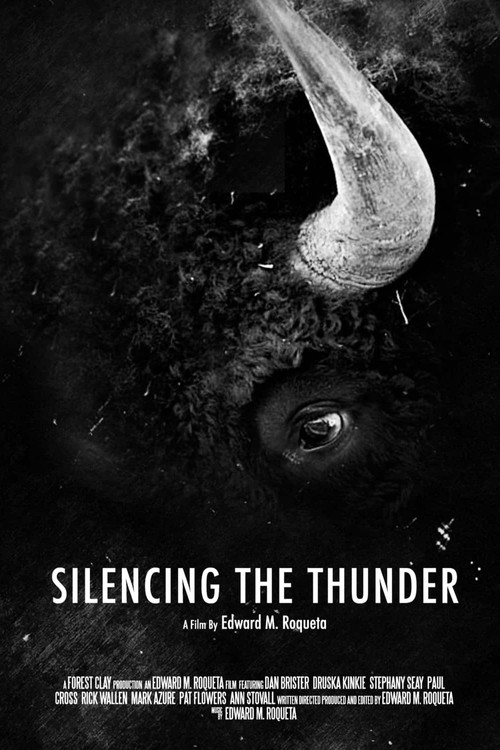 Silencing the Thunder (2014) poster