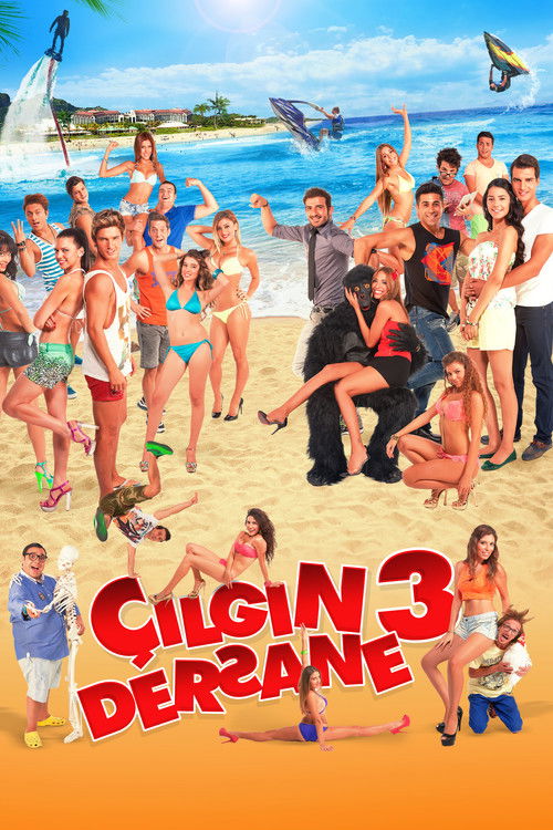 Çılgın Dersane 3 (2014) poster