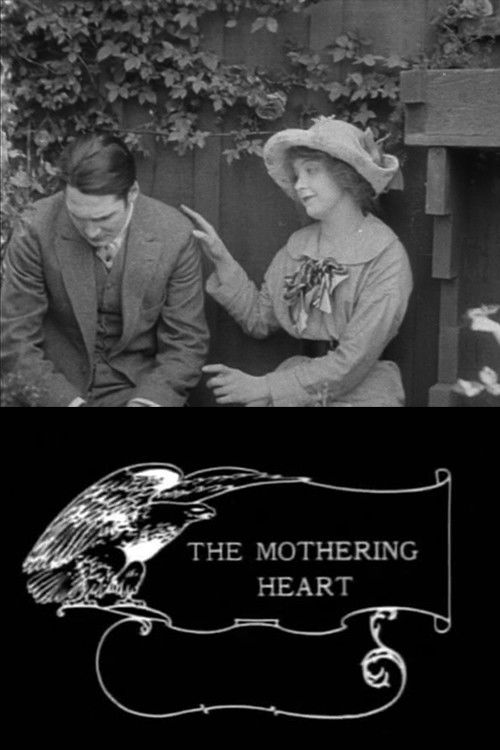 The Mothering Heart (1913) poster